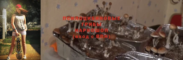 кокаин премиум Беломорск
