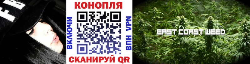 Бошки марихуана конопля  Велиж 